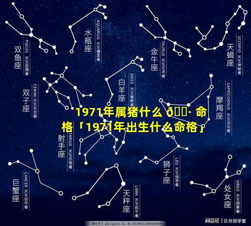 1971年属猪什么 🌷 命格「1971年出生什么命格」